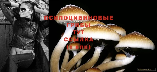 героин Арсеньев