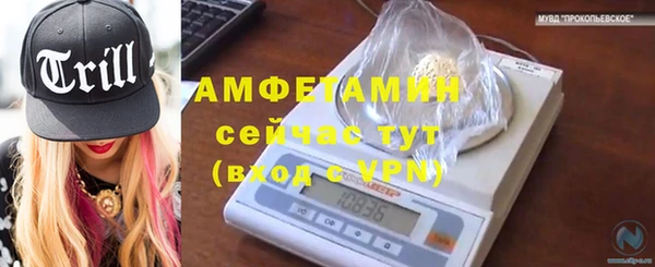 стаф Кулебаки